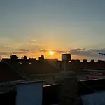 Attico31